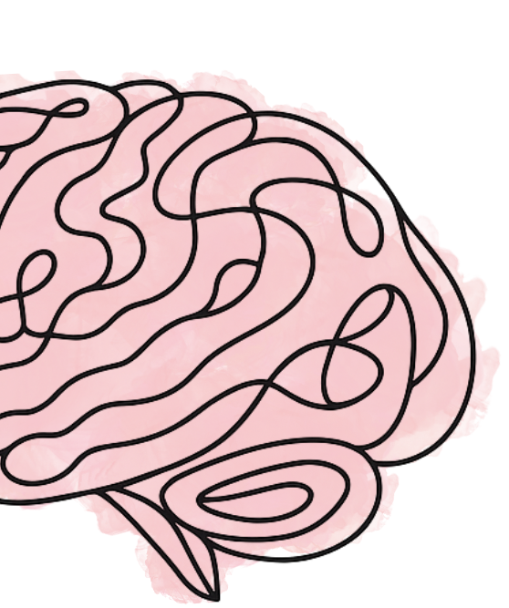 Rossini Pediatric Neuropsychology Brain